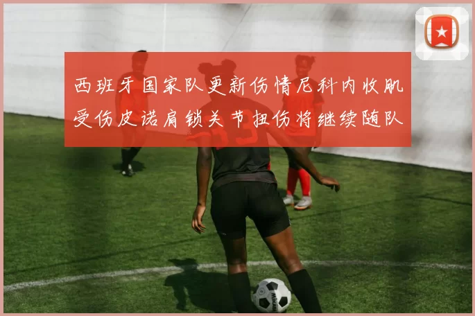 西班牙国家队更新伤情尼科内收肌受伤皮诺肩锁关节扭伤将继续随队训练