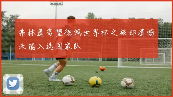 弗林蓬寄望德佩世界杯之旅却遗憾未能入选国家队